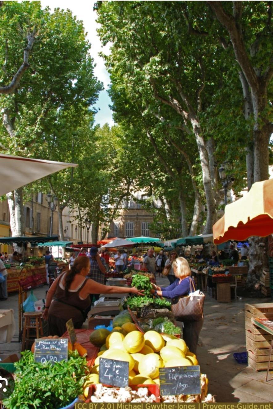 Superbe Appartement Avec Jardin Quart Mazarin Aix-en-Provence Kültér fotó